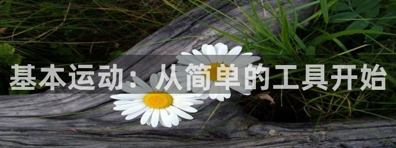 tpwallet官网下载平台：基本运动：从简单的工具