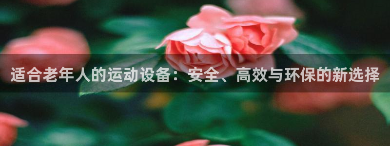 tp官方正版app开户：适合老年人的运动设备：安全、