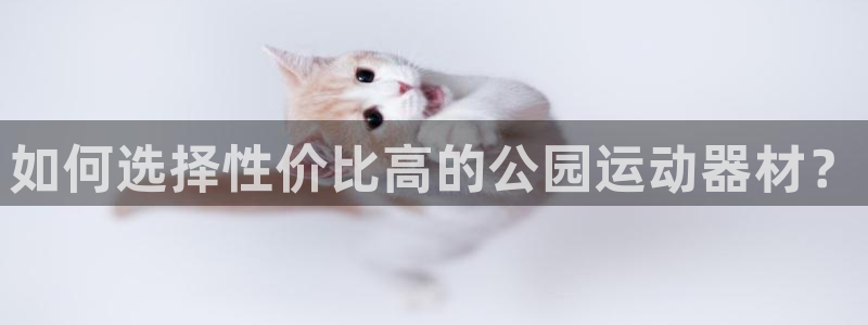 tp官方正版app娱乐代理怎么样：如何选择性价比高的