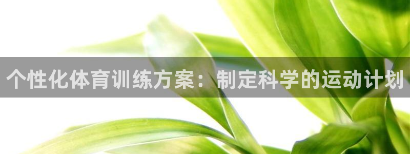77体育app下载官网