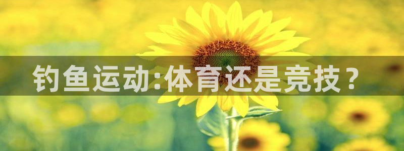 77体育app下载官网