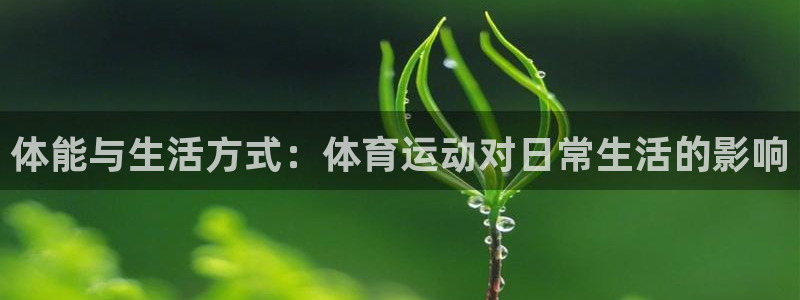 77体育官网