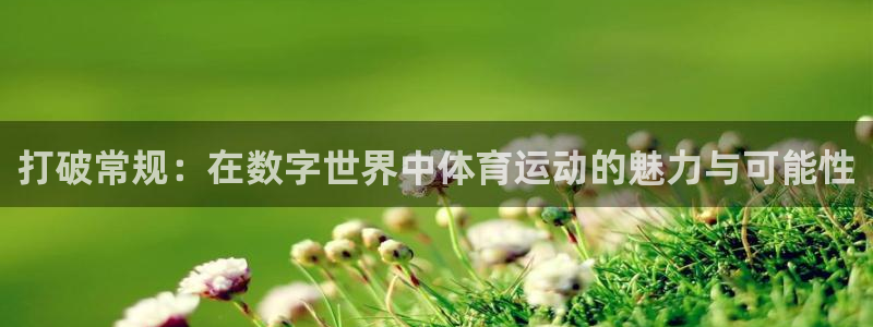 77体育官网