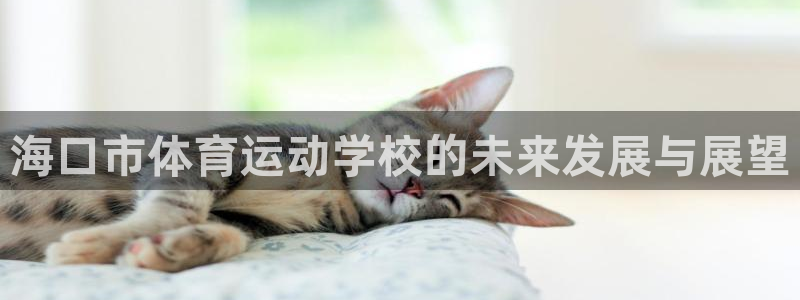 77体育app下载官网