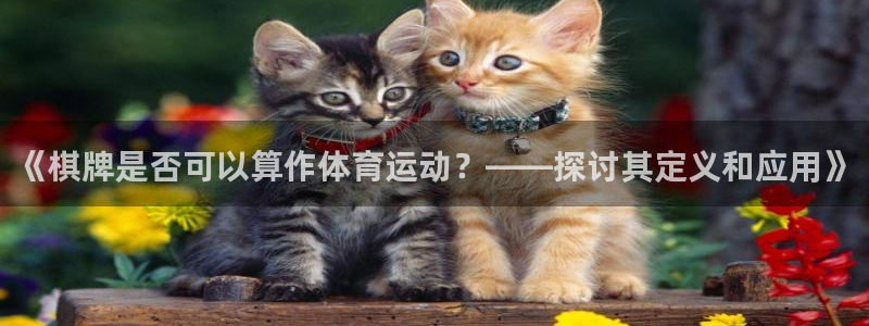 77体育app下载官网