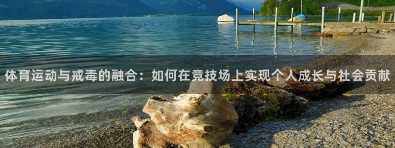 77体育app下载官网