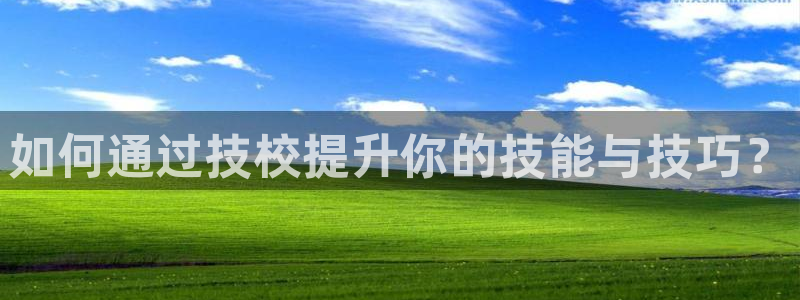 77体育官网