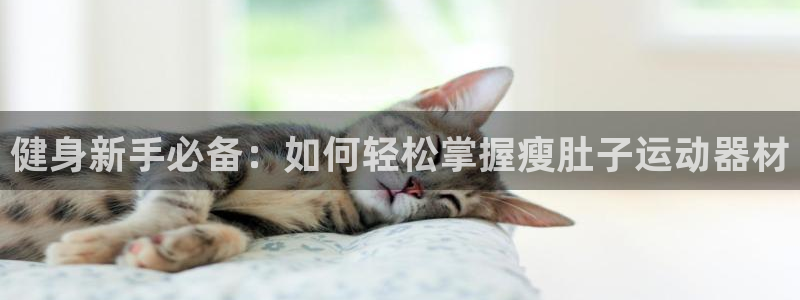 tp官方正版app娱乐平台：健身新手必备：如何轻松掌握瘦肚子