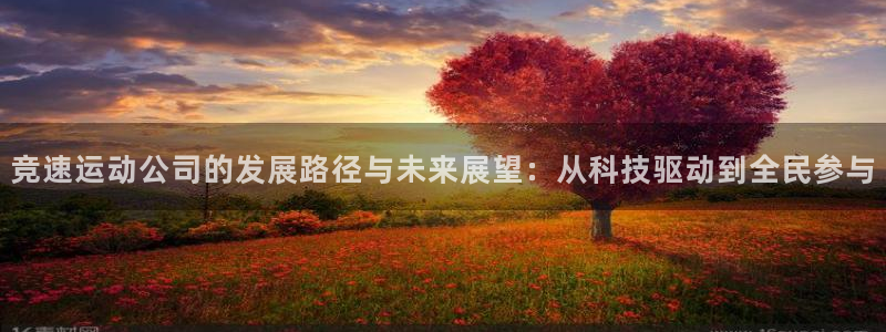 77体育官网