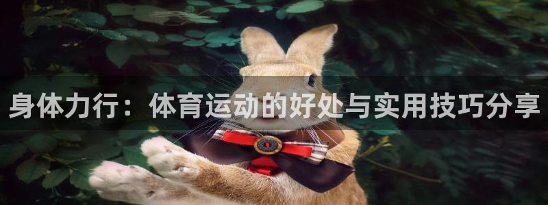 77体育官网